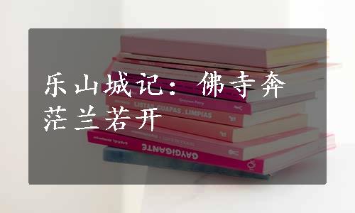乐山城记：佛寺奔茫兰若开