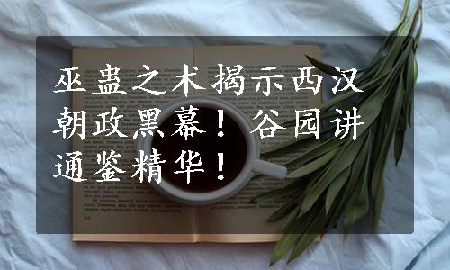 巫蛊之术揭示西汉朝政黑幕！谷园讲通鉴精华！