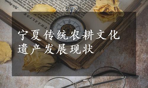 宁夏传统农耕文化遗产发展现状