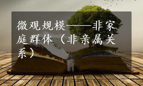 微观规模——非家庭群体（非亲属关系）