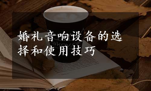 婚礼音响设备的选择和使用技巧