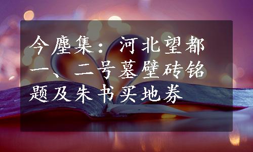 今塵集：河北望都一、二号墓壁砖铭题及朱书买地券