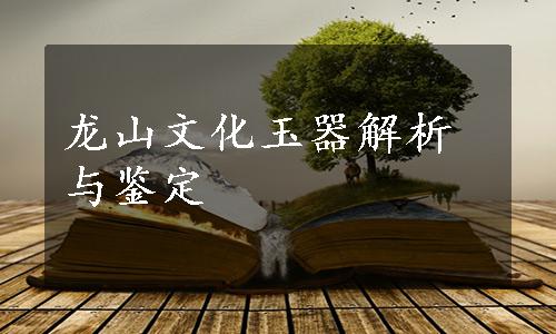 龙山文化玉器解析与鉴定
