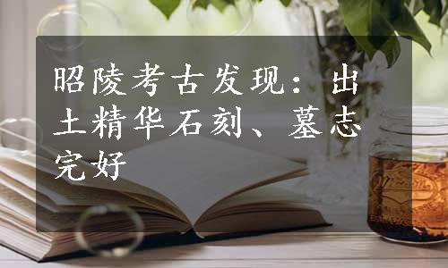 昭陵考古发现：出土精华石刻、墓志完好