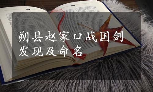 朔县赵家口战国剑发现及命名