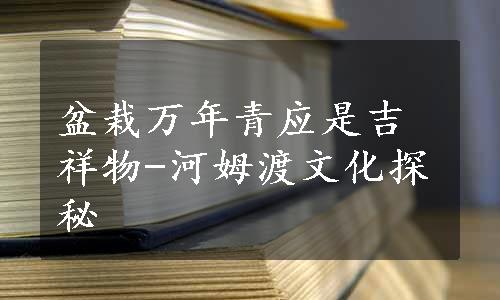 盆栽万年青应是吉祥物-河姆渡文化探秘