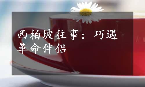 西柏坡往事：巧遇革命伴侣