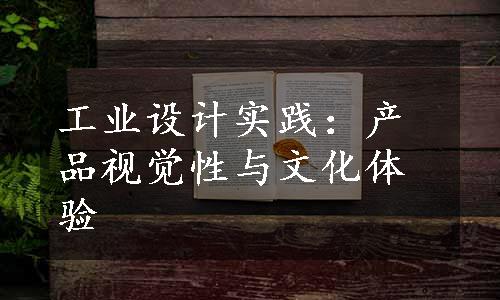 工业设计实践：产品视觉性与文化体验