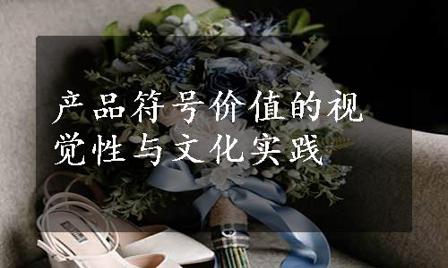 产品符号价值的视觉性与文化实践