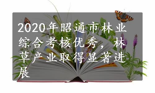 2020年昭通市林业综合考核优秀，林草产业取得显著进展