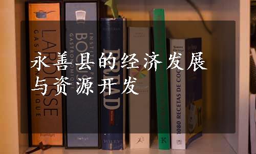 永善县的经济发展与资源开发