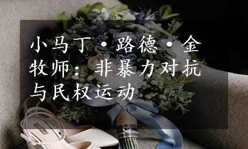 小马丁·路德·金牧师：非暴力对抗与民权运动