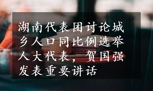 湖南代表团讨论城乡人口同比例选举人大代表，贺国强发表重要讲话