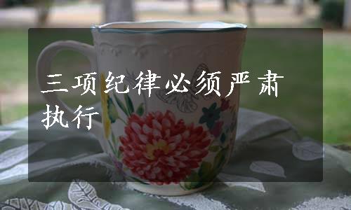 三项纪律必须严肃执行