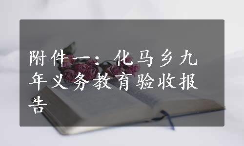 附件一：化马乡九年义务教育验收报告