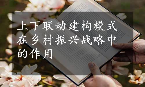 上下联动建构模式在乡村振兴战略中的作用