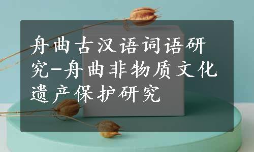 舟曲古汉语词语研究-舟曲非物质文化遗产保护研究