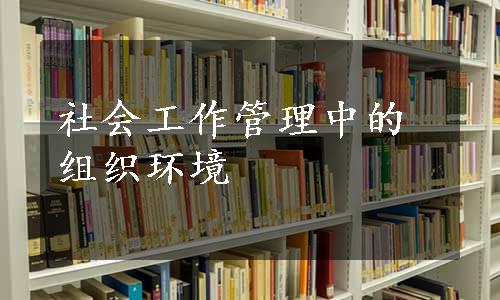 社会工作管理中的组织环境