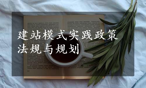 建站模式实践政策法规与规划
