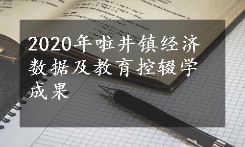 2020年啦井镇经济数据及教育控辍学成果