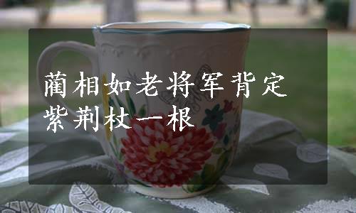 蔺相如老将军背定紫荆杖一根