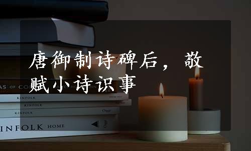 唐御制诗碑后，敬赋小诗识事