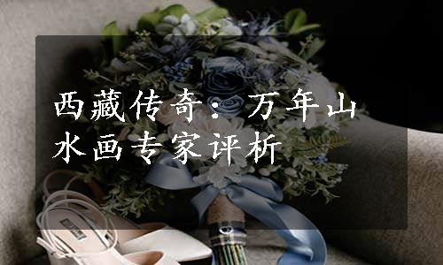 西藏传奇：万年山水画专家评析