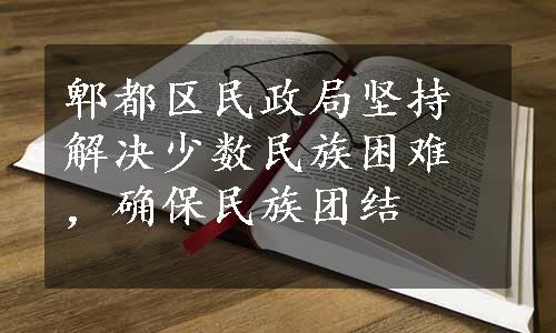 郫都区民政局坚持解决少数民族困难，确保民族团结