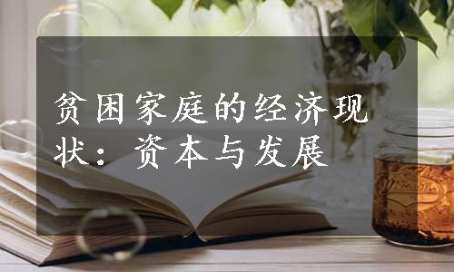 贫困家庭的经济现状：资本与发展