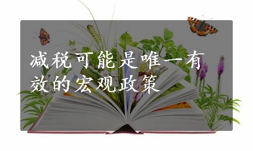 减税可能是唯一有效的宏观政策