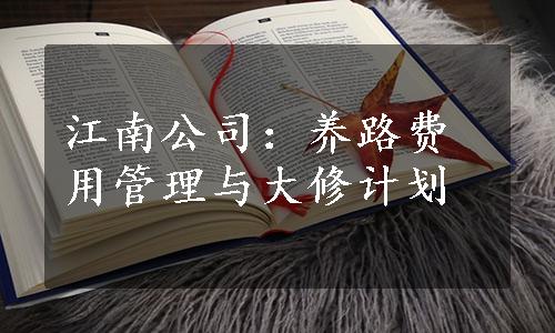 江南公司：养路费用管理与大修计划