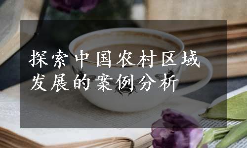 探索中国农村区域发展的案例分析