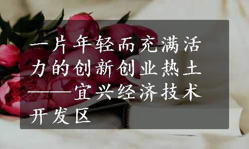 一片年轻而充满活力的创新创业热土——宜兴经济技术开发区