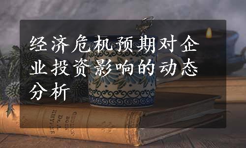 经济危机预期对企业投资影响的动态分析