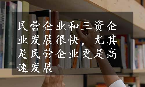 民营企业和三资企业发展很快，尤其是民营企业更是高速发展