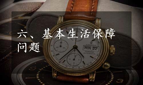六、基本生活保障问题