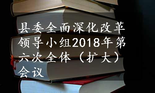 县委全面深化改革领导小组2018年第六次全体（扩大）会议