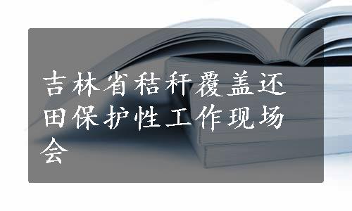 吉林省秸秆覆盖还田保护性工作现场会
