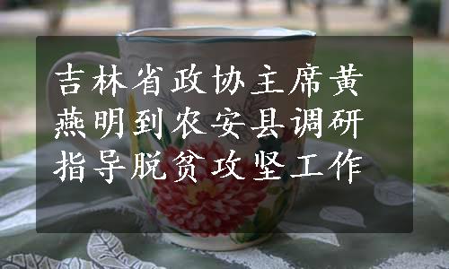 吉林省政协主席黄燕明到农安县调研指导脱贫攻坚工作