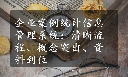 企业案例统计信息管理系统：清晰流程、概念突出、资料到位