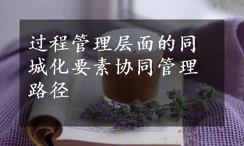 过程管理层面的同城化要素协同管理路径