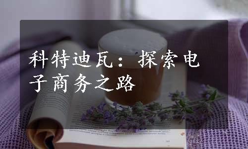 科特迪瓦：探索电子商务之路