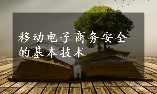 移动电子商务安全的基本技术