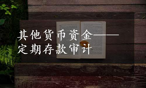 其他货币资金——定期存款审计