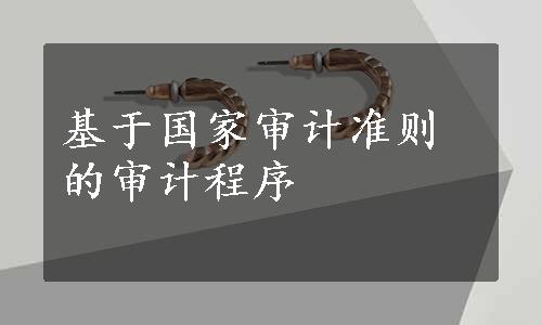 基于国家审计准则的审计程序