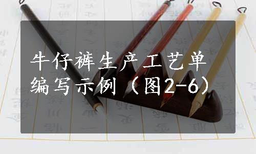 牛仔裤生产工艺单编写示例（图2-6）