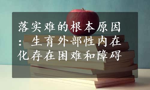 落实难的根本原因：生育外部性内在化存在困难和障碍