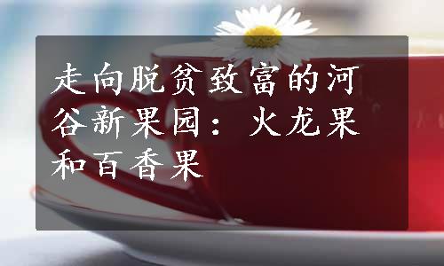 走向脱贫致富的河谷新果园：火龙果和百香果