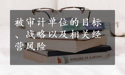被审计单位的目标、战略以及相关经营风险