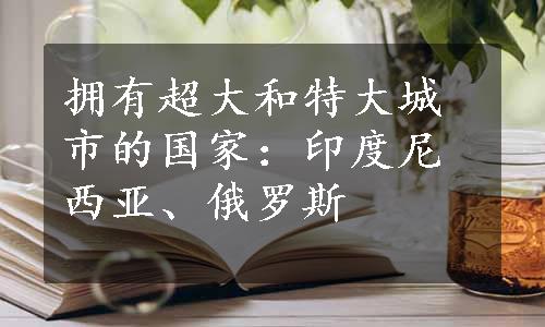 拥有超大和特大城市的国家：印度尼西亚、俄罗斯